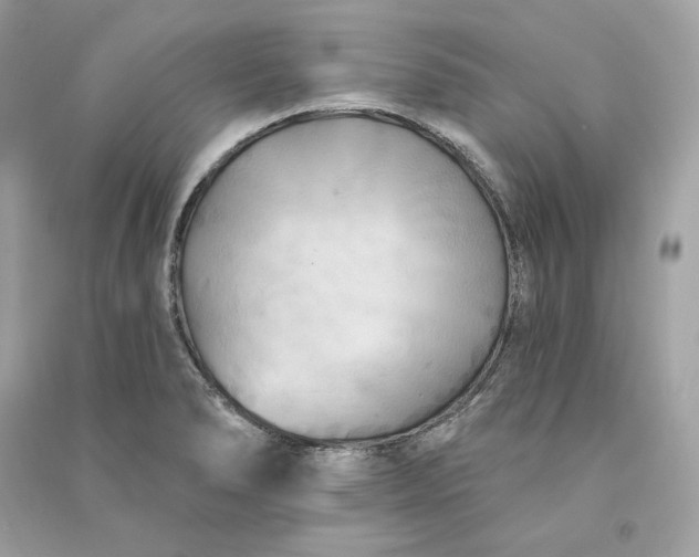 X0000090771278200708101802