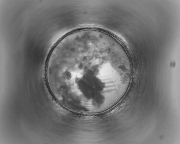 X0000090771279200708101802