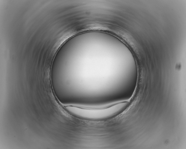 X0000090771281200708101802