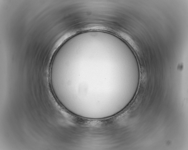X0000090771282200708101802
