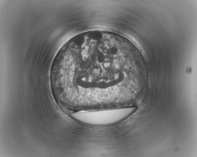 X0000090771283200708101802