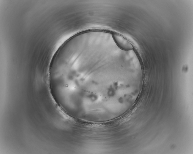 X0000090771287200708101802