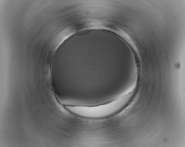 X0000090771289200708101802