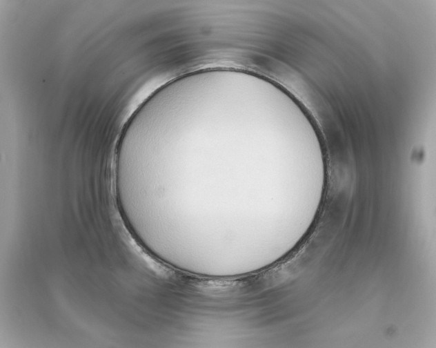 X0000090771290200708101802