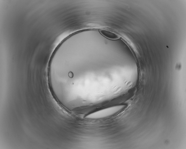 X0000090771291200708101801