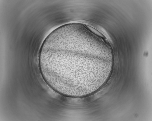 X0000090771292200708101801