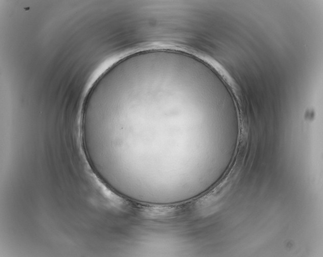 X0000090771294200708101801