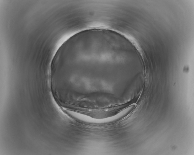X0000090771295200708101801