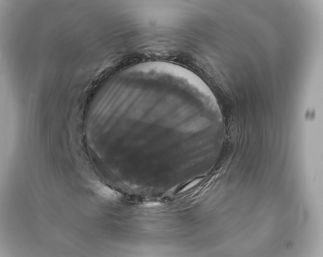 X0000090771297200708101801