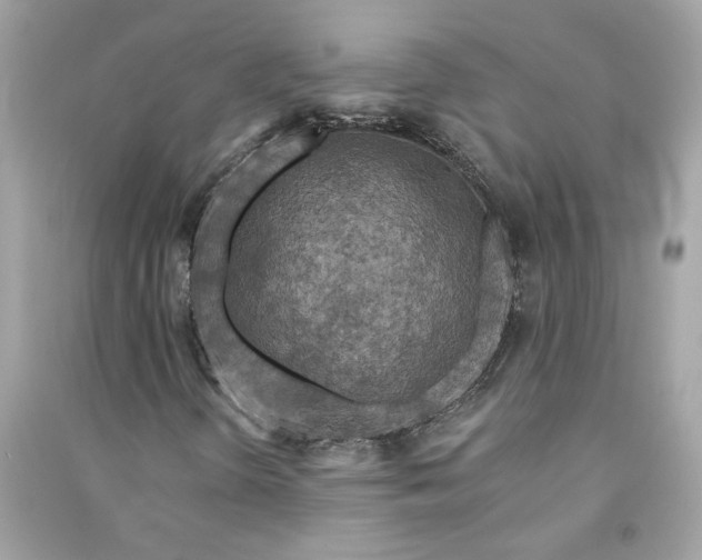 X0000090771298200708101801