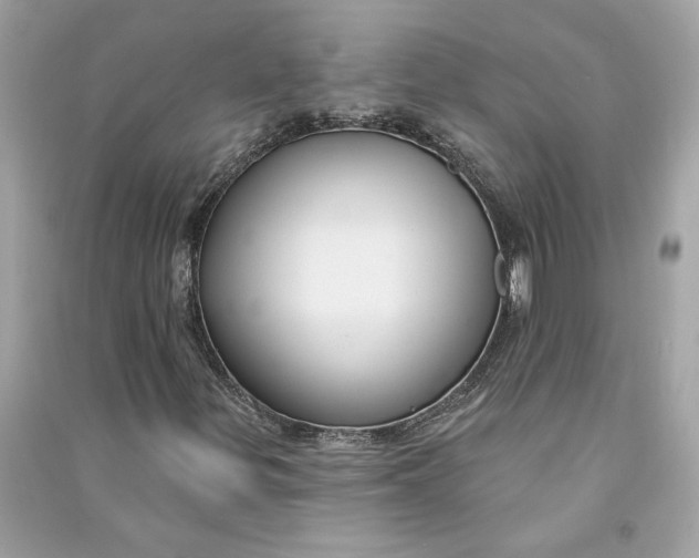 X0000090771299200708101801