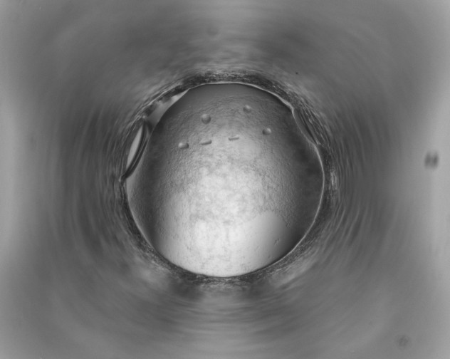 X0000090771300200708101801