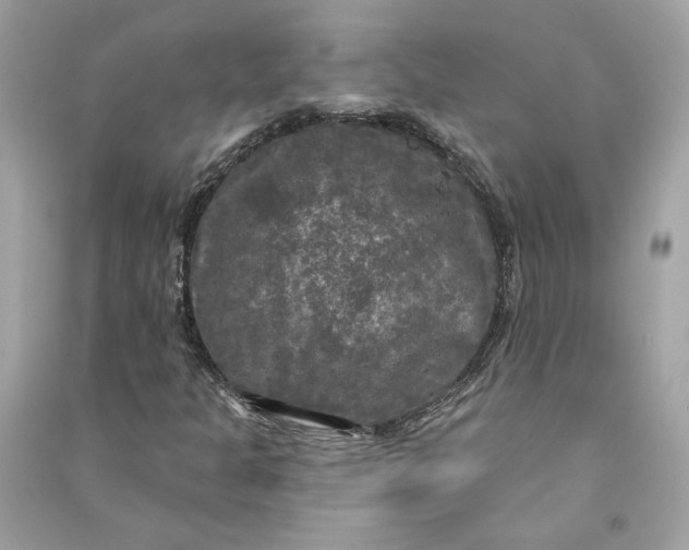 X0000090771301200708101801