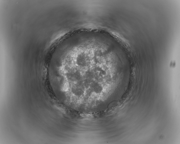 X0000090771302200708101801