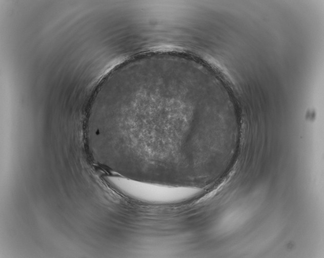 X0000090771305200708101801