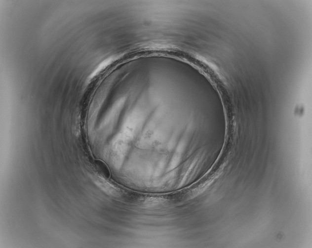 X0000090771306200708101801