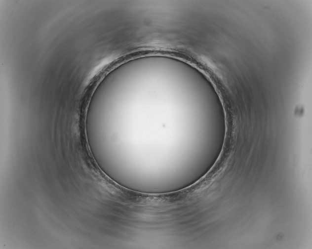 X0000090771307200708101801