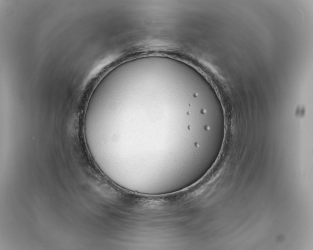 X0000090771309200708101801