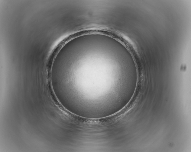 X0000090771310200708101801
