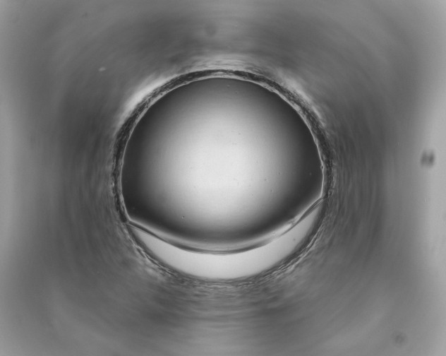 X0000090771312200708101801
