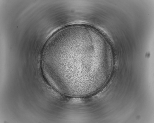X0000090771313200708101801