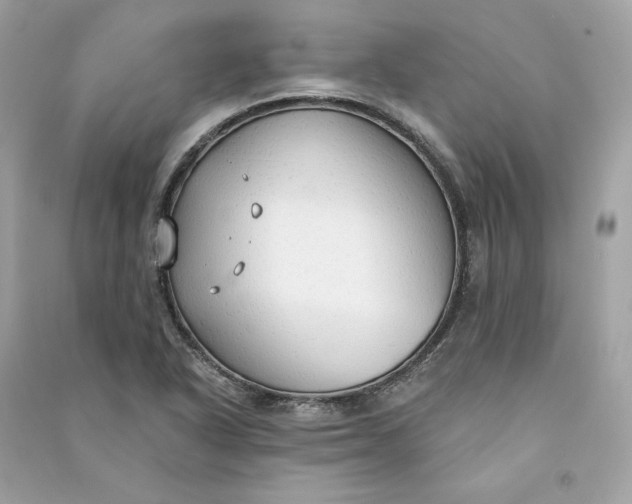 X0000090771318200708101801