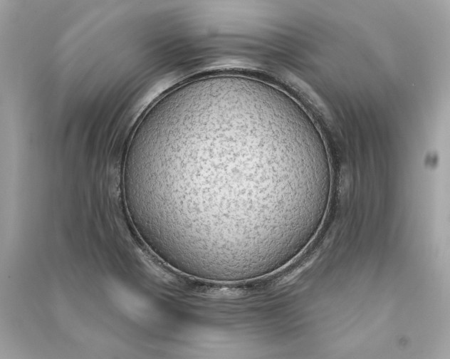 X0000090771321200708101801