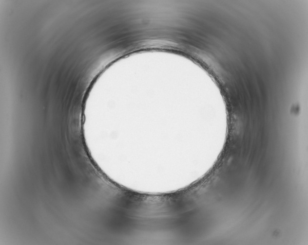 X0000090771322200708101801