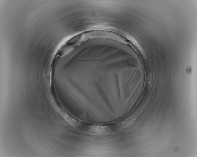X0000090771323200708101801