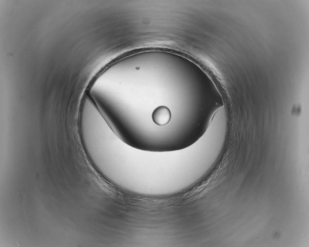 X0000090771324200708101801