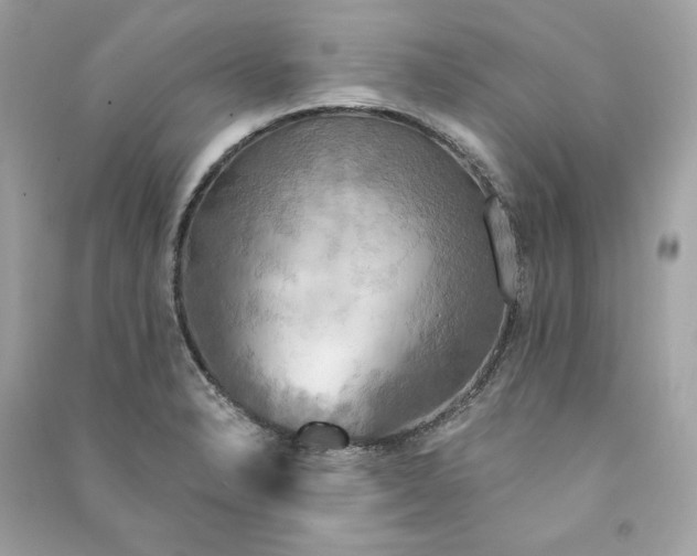 X0000090771326200708101801