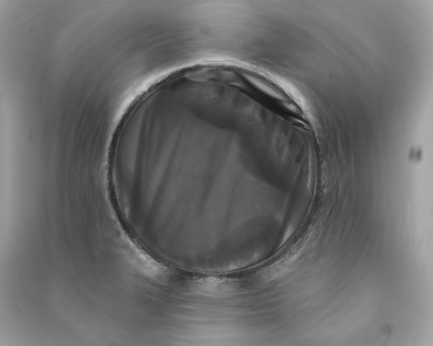 X0000090771327200708101801