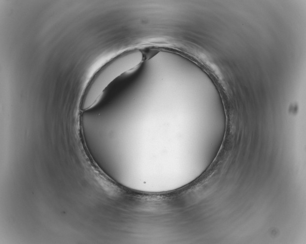 X0000090771328200708101801