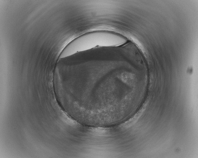 X0000090771329200708101801