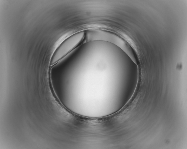 X0000090771330200708101801