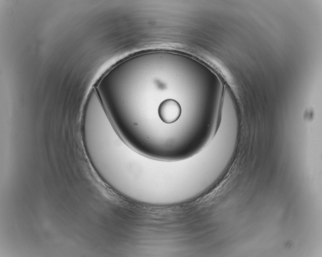 X0000090771332200708101801