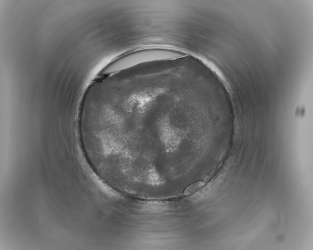 X0000090771333200708101801