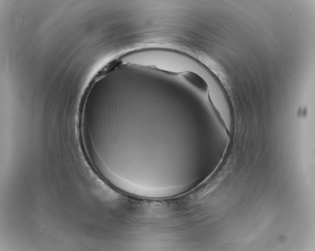 X0000090771334200708101801