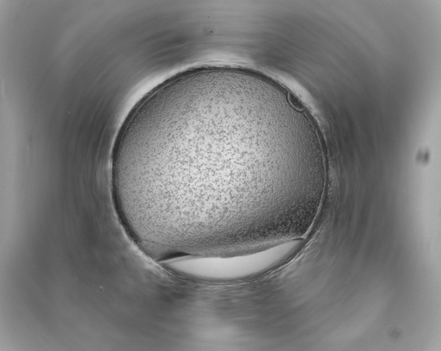 X0000090771335200708101801