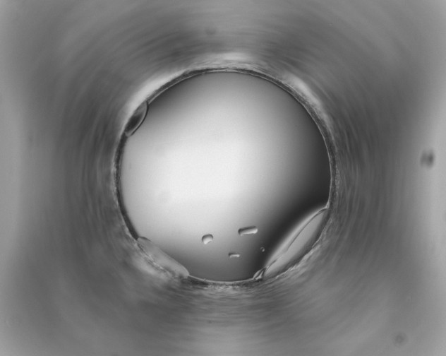 X0000090771336200708101801