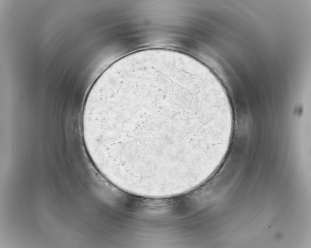 X0000090771338200708101801