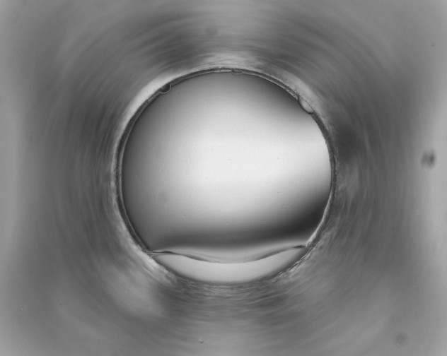 X0000090771339200708101801
