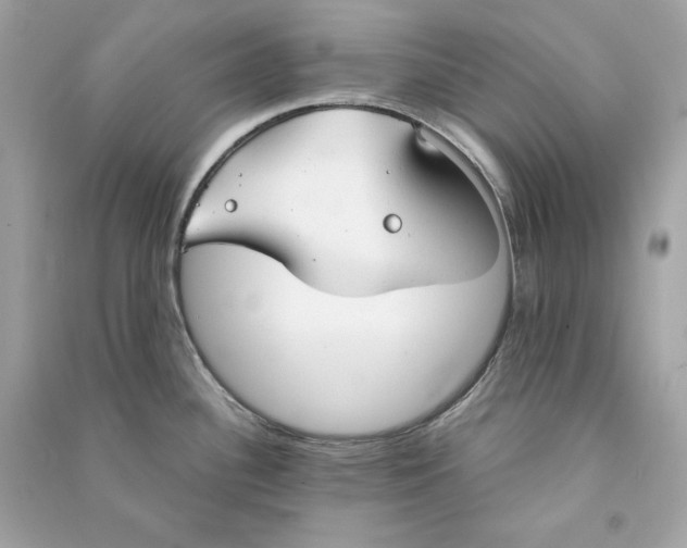 X0000090771340200708101801