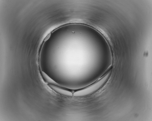 X0000090771342200708101801