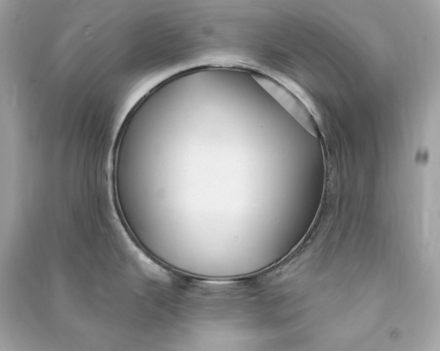X0000090771343200708101801