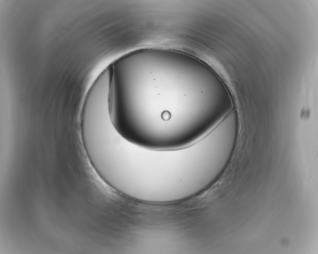 X0000090771344200708101801