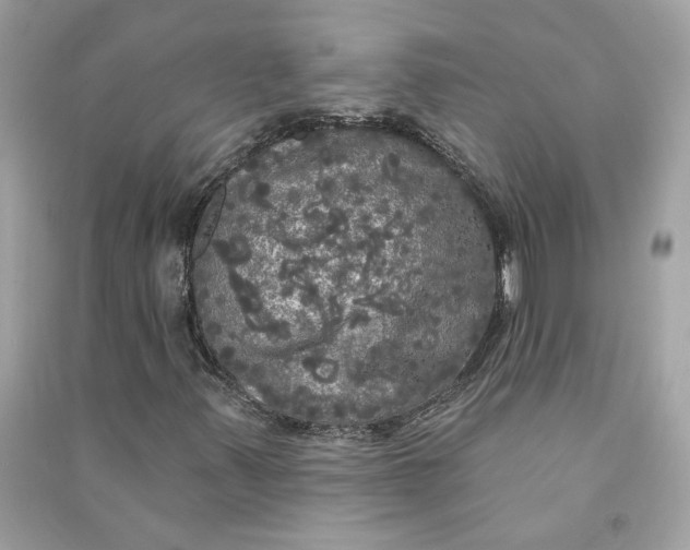 X0000090771347200708101801
