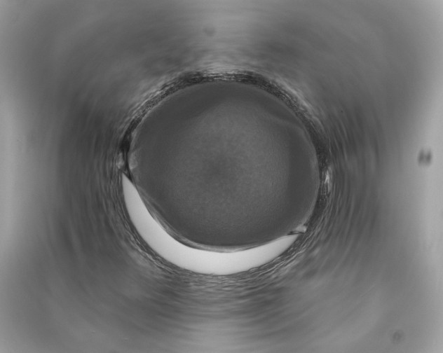X0000090771348200708101801