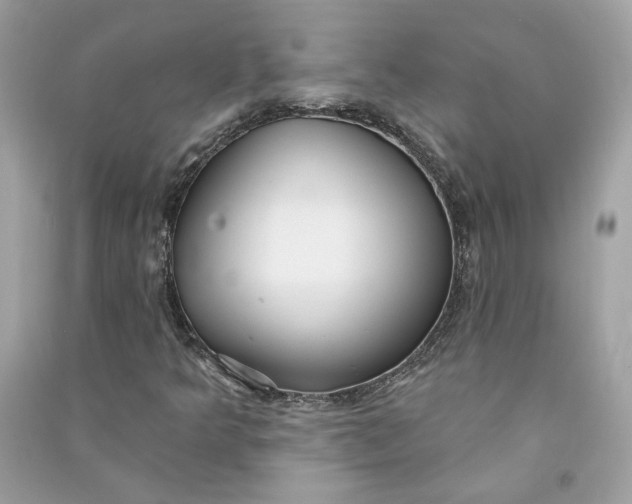 X0000090771349200708101801