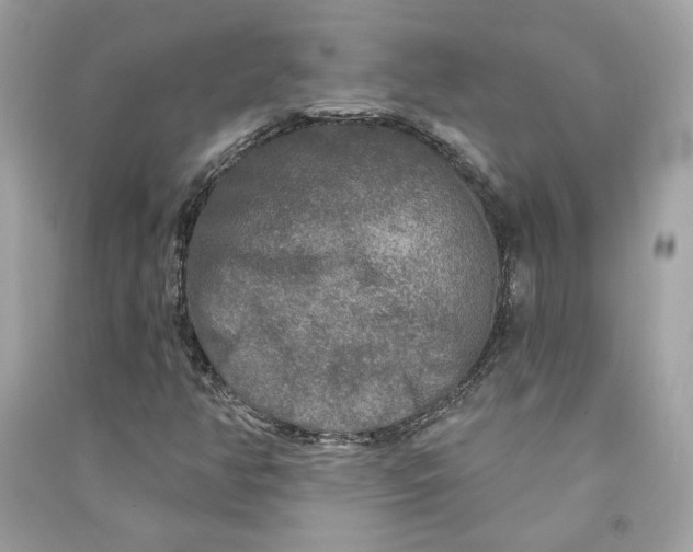 X0000090771350200708101801